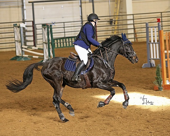 Colorado Show Circuit - Holiday At The Ranch