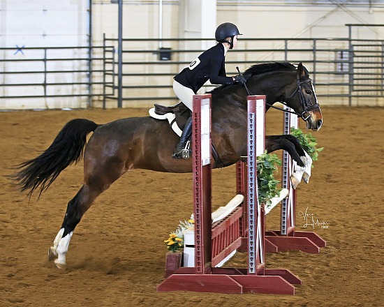 Colorado Show Circuit At The Ranch - MARCH SHOW