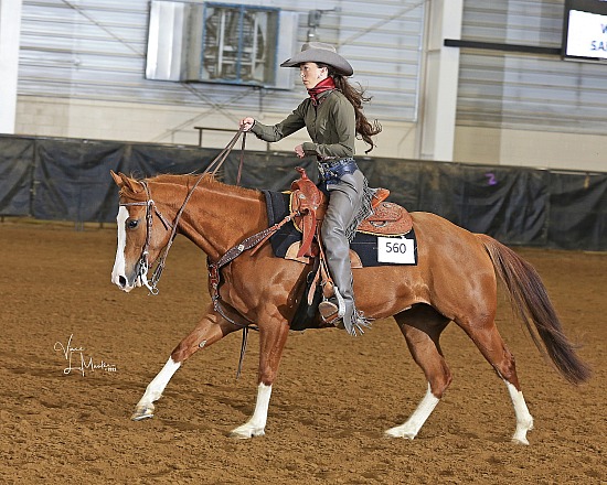 May Day Horse Show