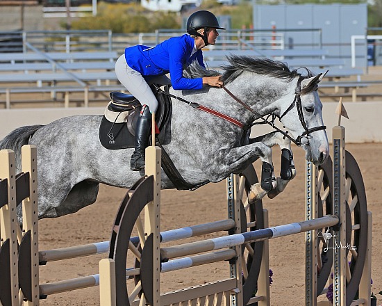 Scottsdale Spring Festival