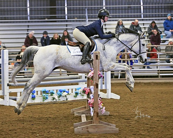 IEA Zone 8 Hunter Jumper Finals