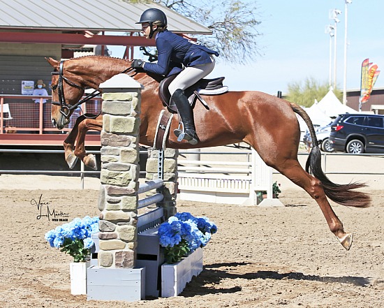 Scottsdale Spring Festival