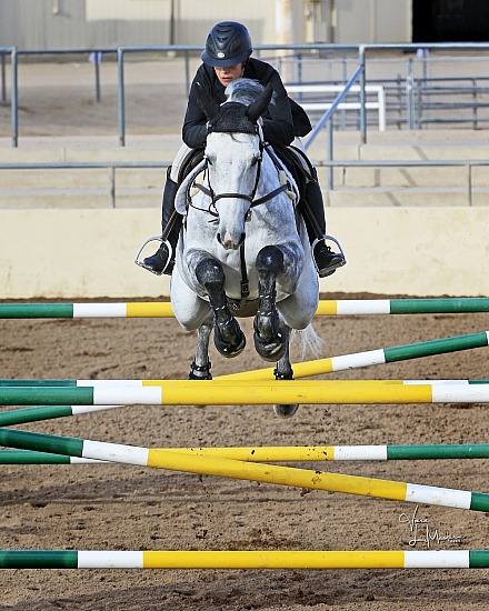 Scottsdale Spring Classic